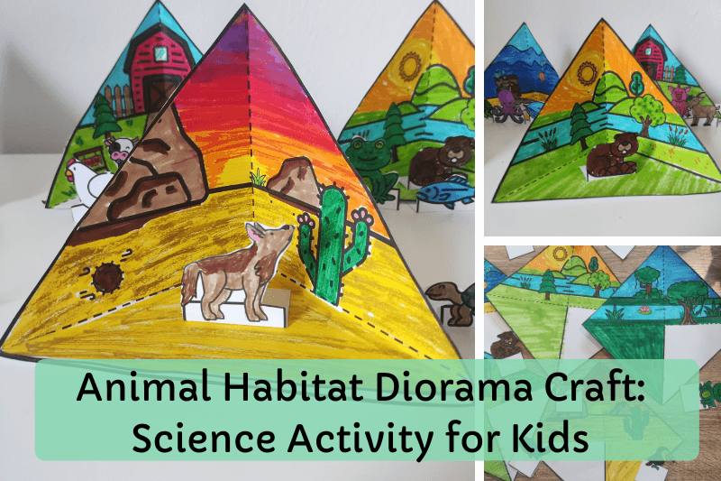 Animal Habitat Diorama Craft: A Hands-On Science Activity for Kids